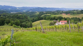  Weingut - Gästezimmer Resch Ludwig vlg. Powoden  Лойчах